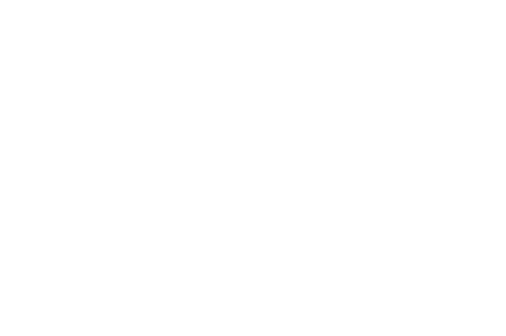 OFFICIAL SELECTION - Santa Barbara Fine Arts Film Festival - 2016